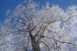 DSC03793.JPG