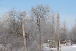 DSC03795.JPG