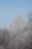 DSC03796.JPG