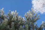 DSC03802.JPG