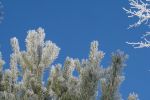 DSC03804.JPG
