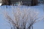 DSC03806.JPG
