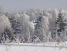 DSC03812.JPG