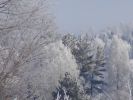 DSC03813.JPG