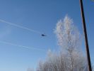DSC03819.JPG