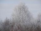 DSC03820.JPG