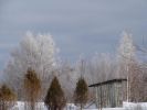 DSC03822.JPG
