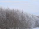 DSC03826.JPG