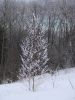 DSC03831.JPG