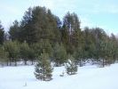 DSC03840.JPG