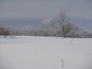 DSC03841.JPG