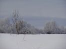 DSC03842.JPG