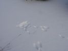 DSC03858.JPG