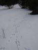DSC03859.JPG