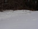 DSC03860.JPG