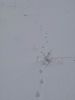 DSC03861.JPG