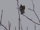 DSC03870.JPG