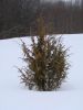 DSC03890.JPG