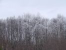 DSC03892.JPG