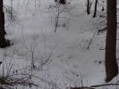 DSC03893.JPG