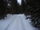 DSC03898.JPG