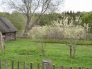 DSC04447.JPG