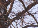 DSC05141.JPG