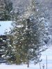 DSC05143.JPG