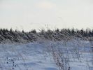 DSC05145.JPG