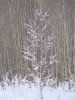 DSC05147.JPG