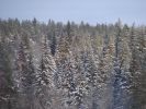 DSC05150.JPG