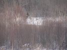 DSC05151.JPG