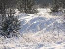 DSC05152.JPG