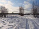 DSC05153.JPG
