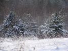 DSC05165.JPG