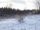 DSC05166.JPG
