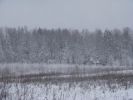 DSC05177.JPG