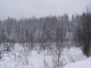 DSC05178.JPG