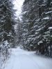DSC05181.JPG