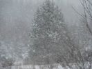 DSC05182.JPG