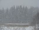DSC05183.JPG