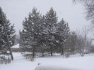 DSC05184.JPG