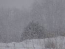 DSC05185.JPG