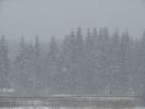 DSC05186.JPG