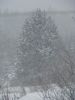 DSC05187.JPG