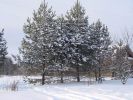 DSC05189.JPG