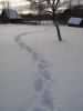 DSC05200.JPG