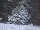 DSC05202.JPG