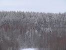 DSC05203.JPG