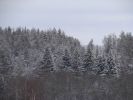 DSC05204.JPG